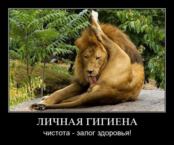 Сам себя не похвалишь никто не похвалит
