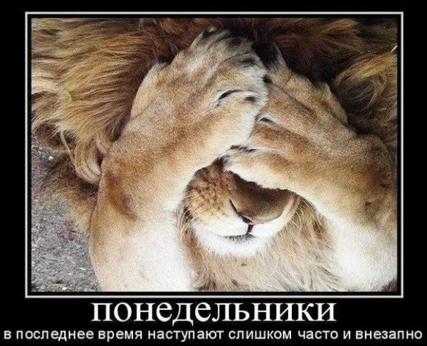 Понедельник наступил