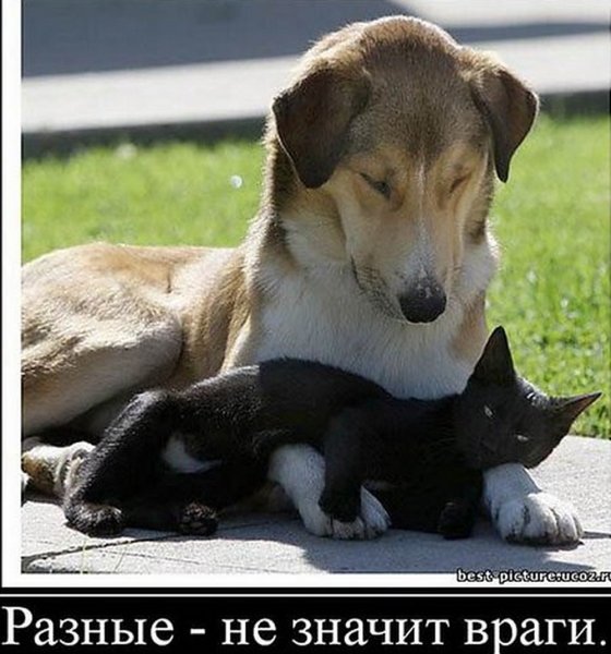 Демотиваторы со смыслом лучшее