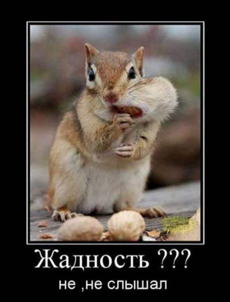Жадность демотиваторы