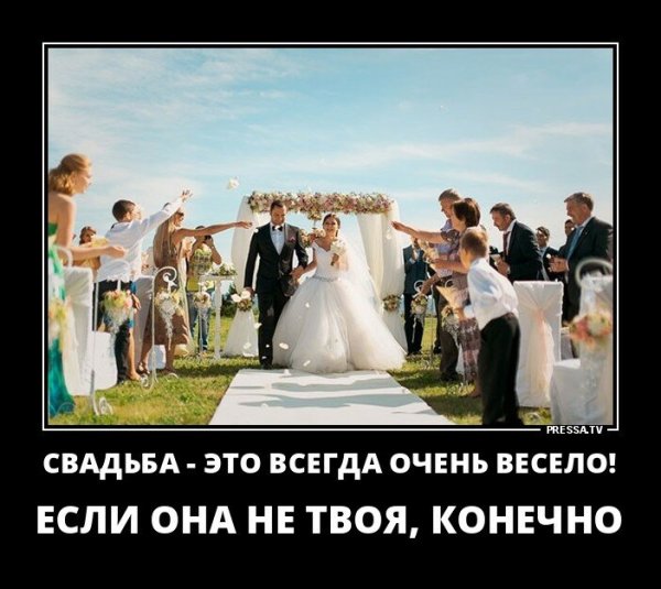 Свадьба это всегда весело если она не твоя
