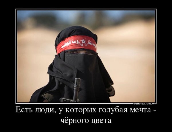 Американская мечта демотиватор