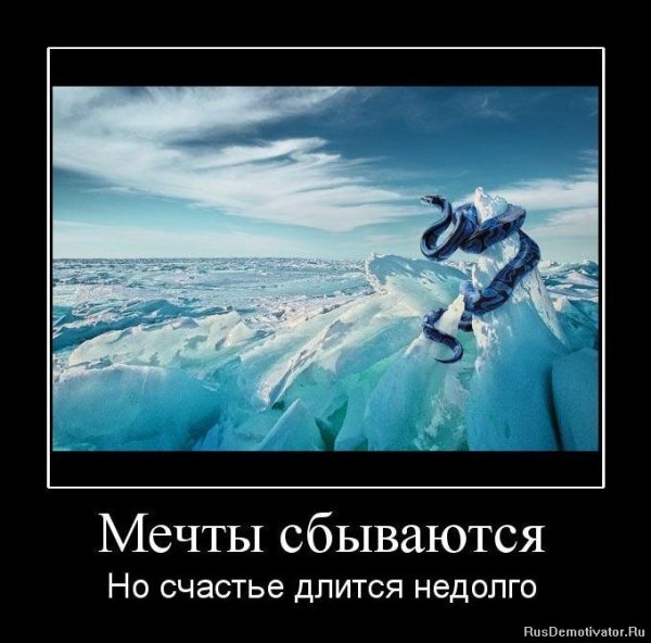 Мечта прикол