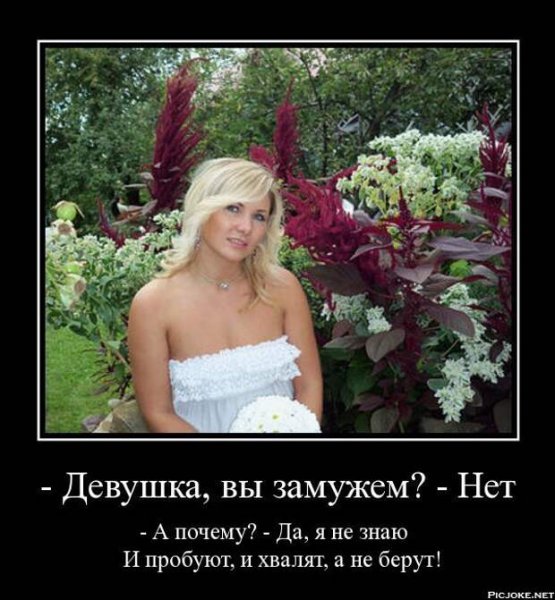 Хочу замуж демотиваторы