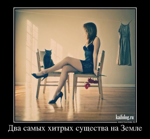 Демотиваторы про женщин