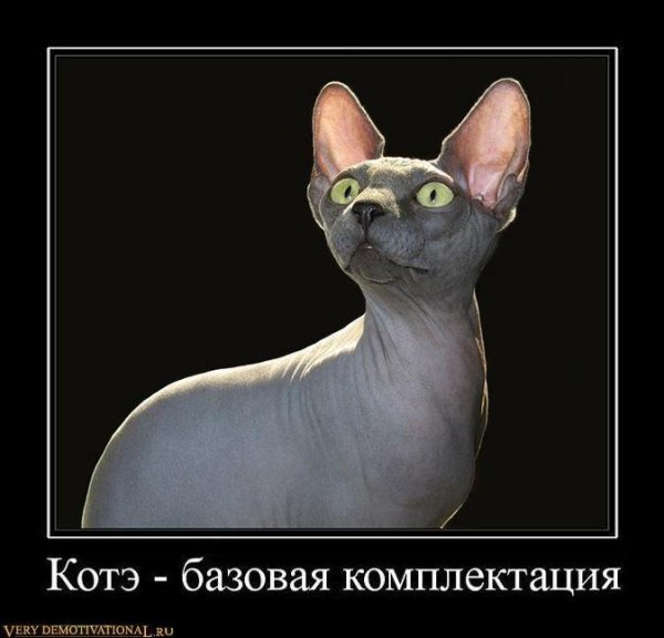 Прикольные демотиваторы