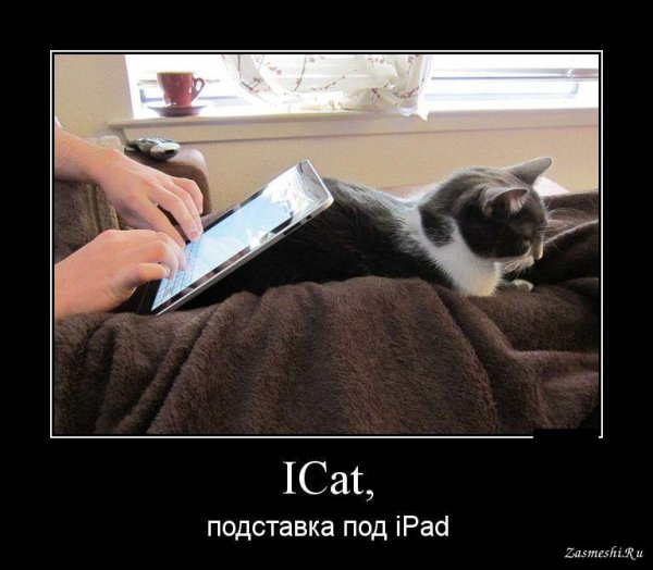 Демотиваторы позитивные смешные