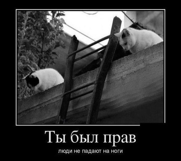 Приколы со смыслом