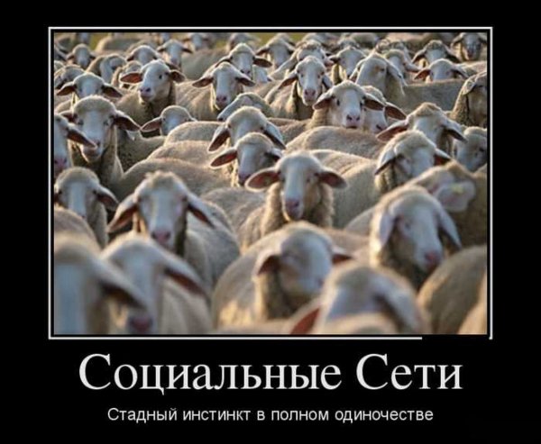 Демотиваторы со смыслом про жизнь