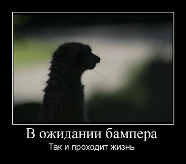 Прикольные высказывания про ожидания
