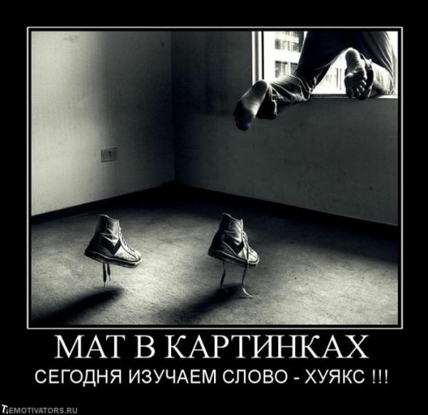 Матершинные демотиваторы
