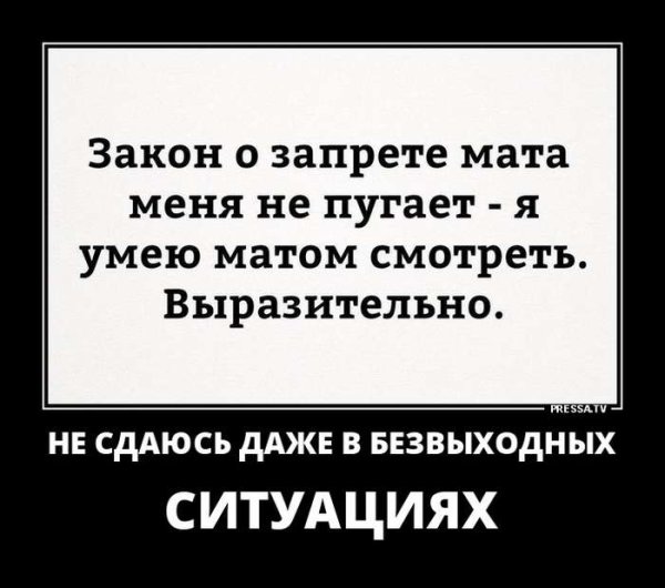 Маяковский вы любите розы