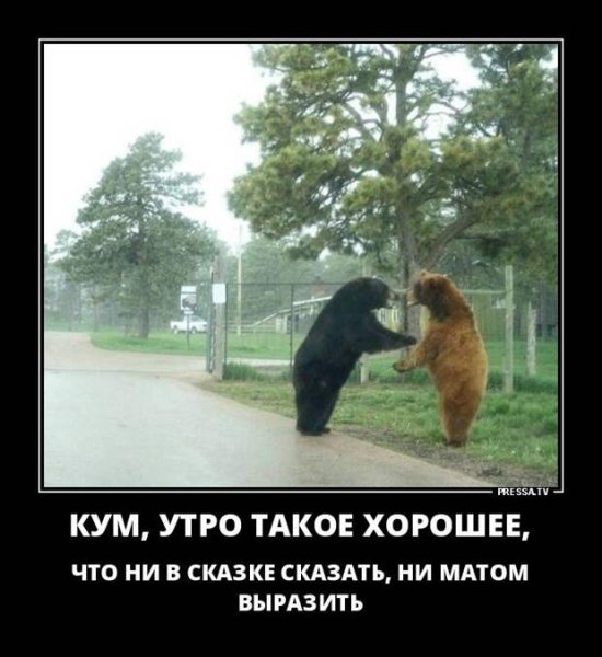 Дорогой учитель черчения