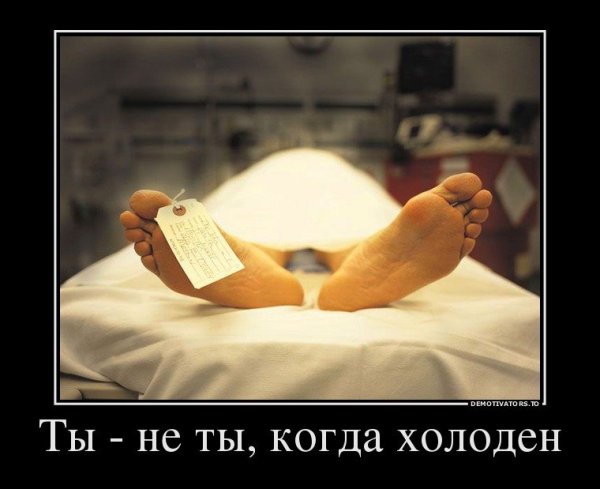 Демотиваторы с добрым утром