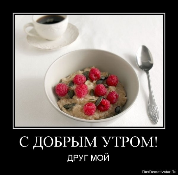 Демотиваторы свежие с добрым утром