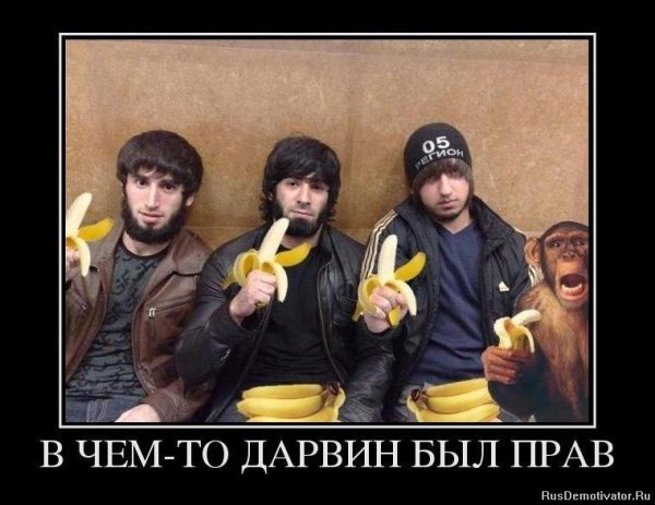 Русские женщины и кавказцы