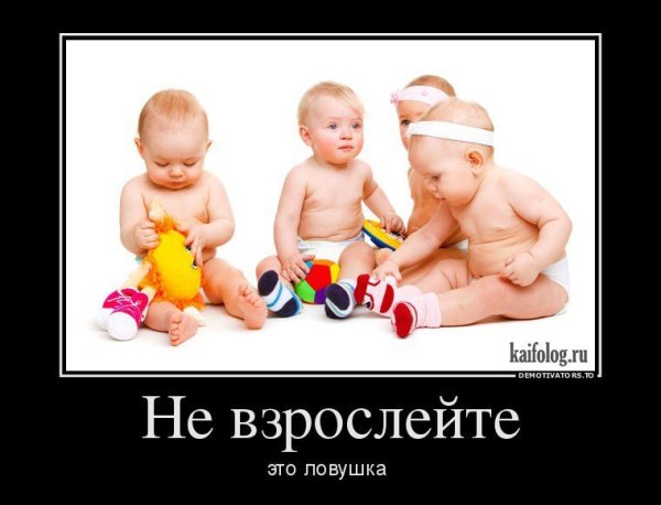Чернильницы для кавказцев демотиваторы