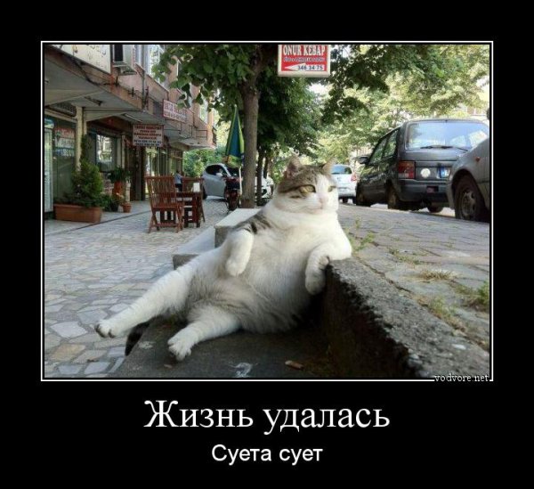 Среда демотиваторы