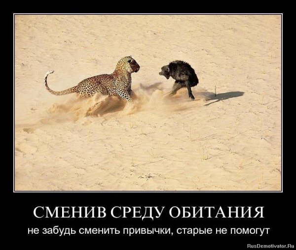 Прикольные демотиваторы