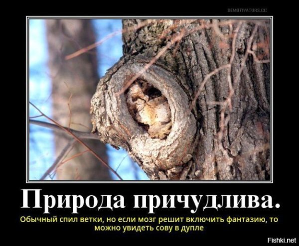 Цитаты про среду
