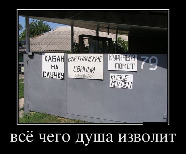 Демотиваторы прикольные про среду