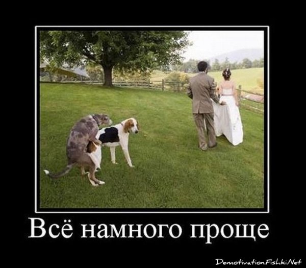 Демотиватор правильный выбор