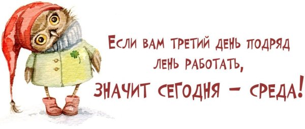 Автосалон Порше срочно требуется
