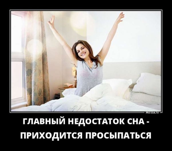 Опять понедельник кот