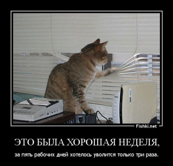 Среда картинки прикольные