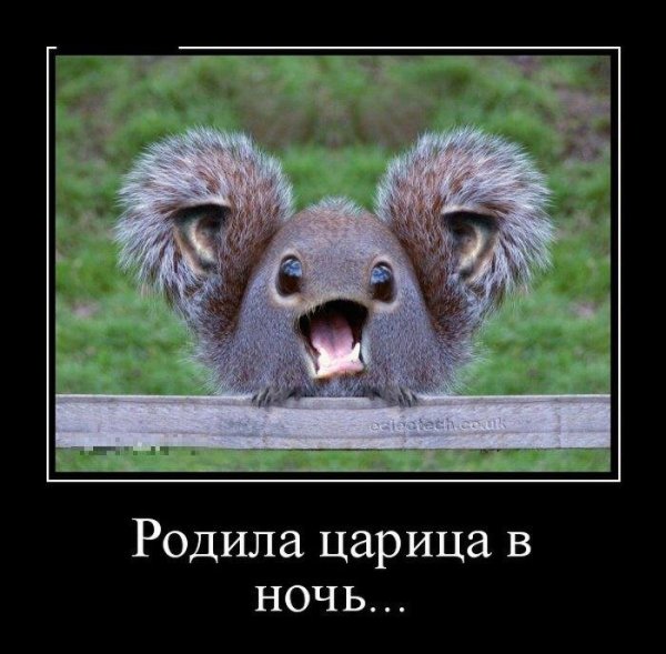 Прикольные демотиваторы