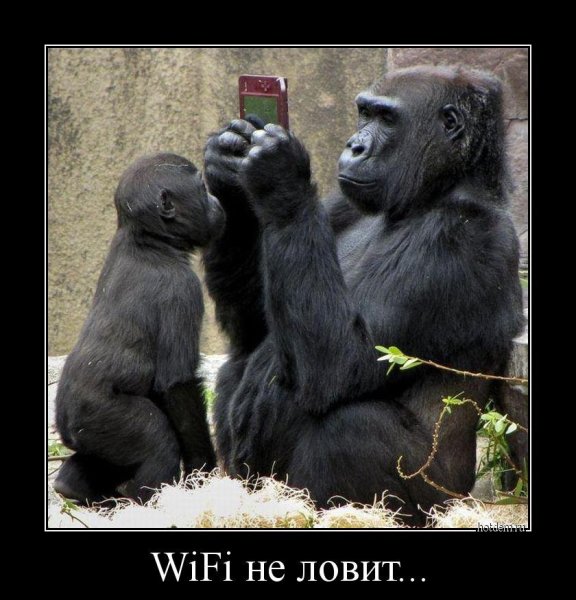 Картинки прикольные демотиваторы