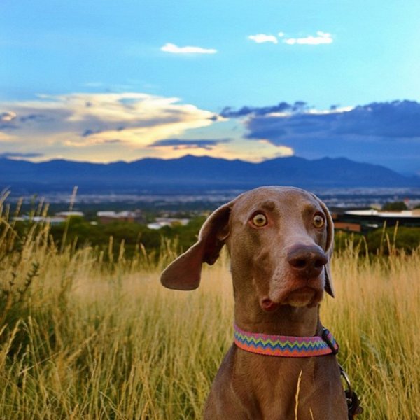 Картинки демотиваторы