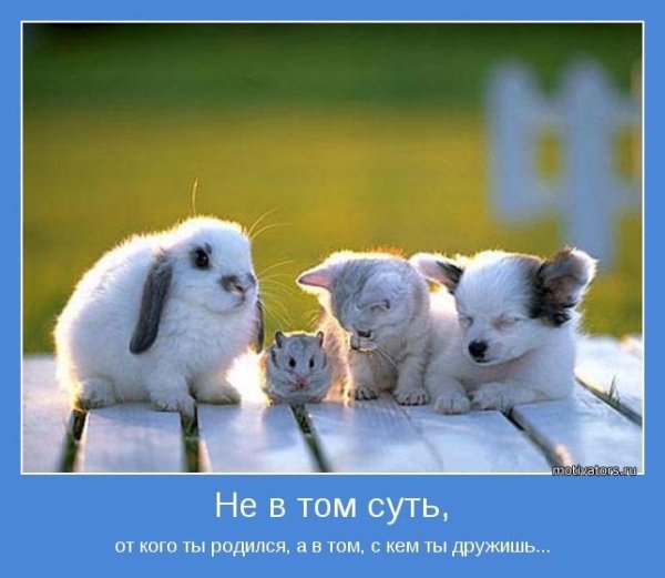 Мотиватор про дружбу