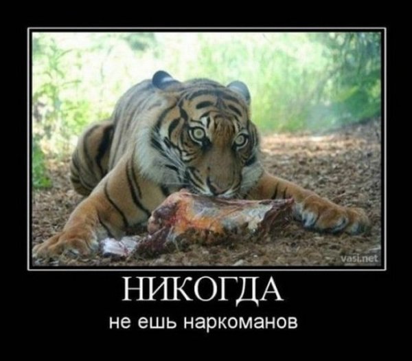 Фотоприколы и демотиваторы