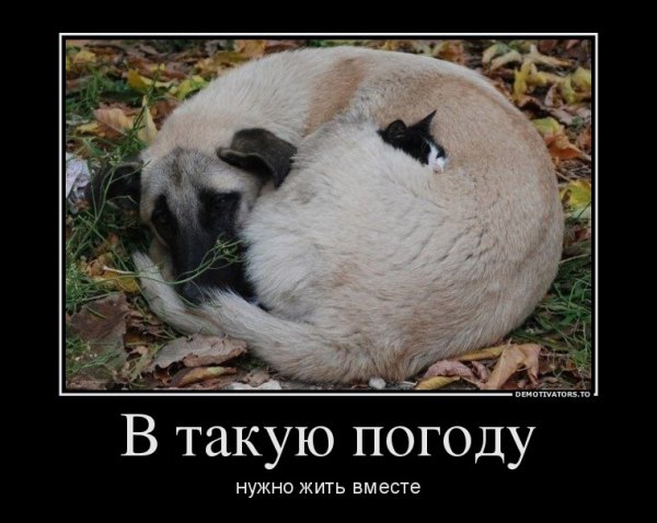 Картинки про погоду прикольные