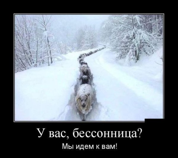 Прикольные для поднятия настроения