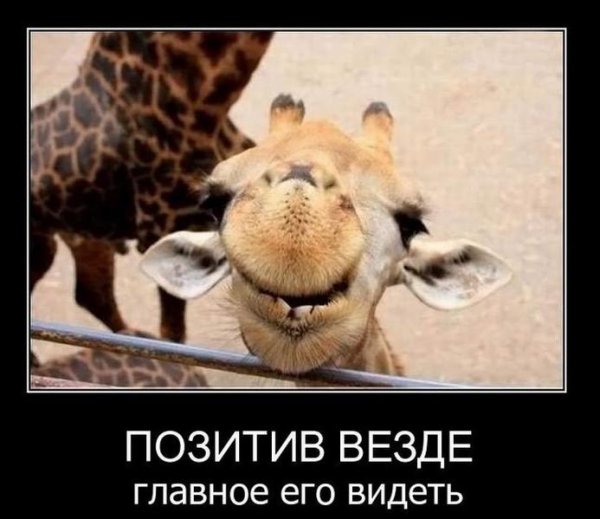 Демотиваторы для поднятия нас