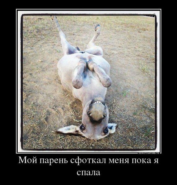 Демотиваторы для поднятия настроения девушке