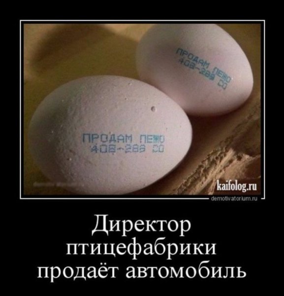 Демотиваторы смешные