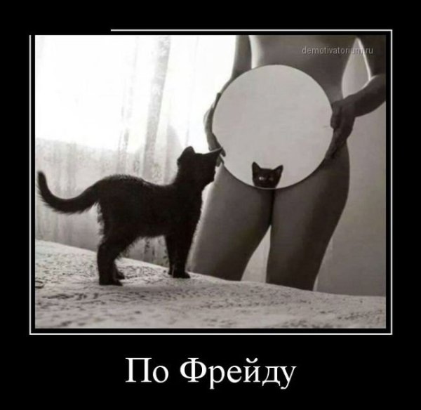 Прикольные демотиваторы