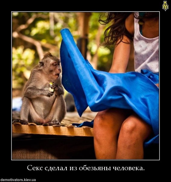 Приколы для поднятия настроения