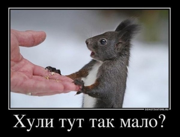 Демотиваторы с матом