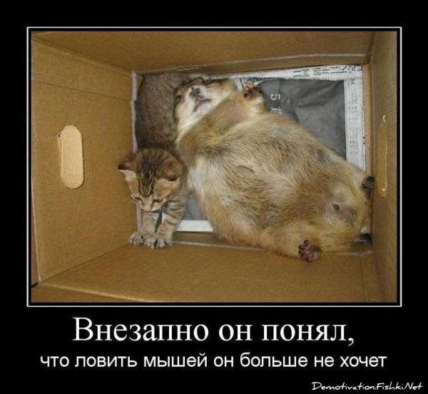 Хомяк демотиватор