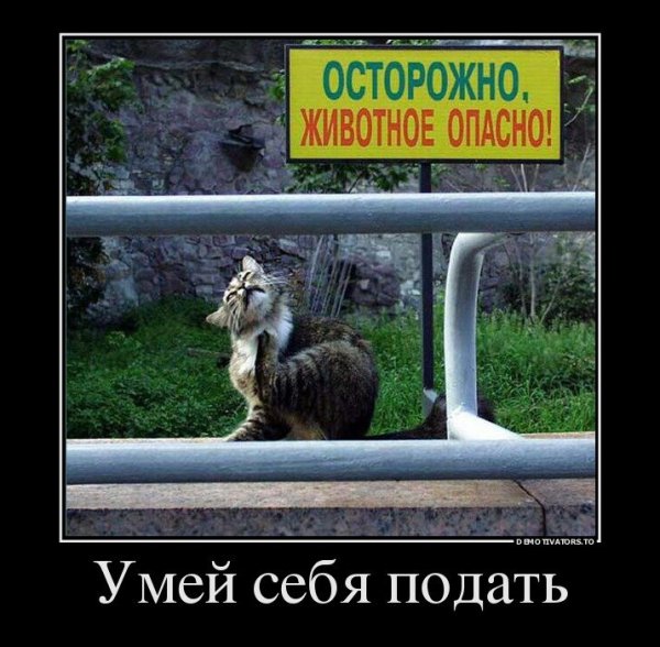 Очень смешные демотиваторы