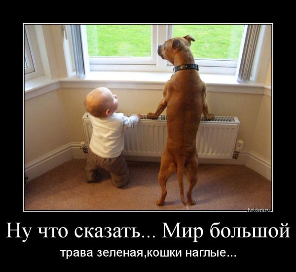 Демотиваторы позитивные смешные