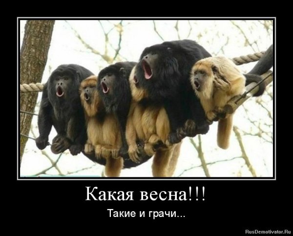 Демотиваторы про весну