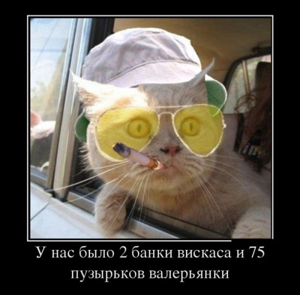 Улётные демотиваторы
