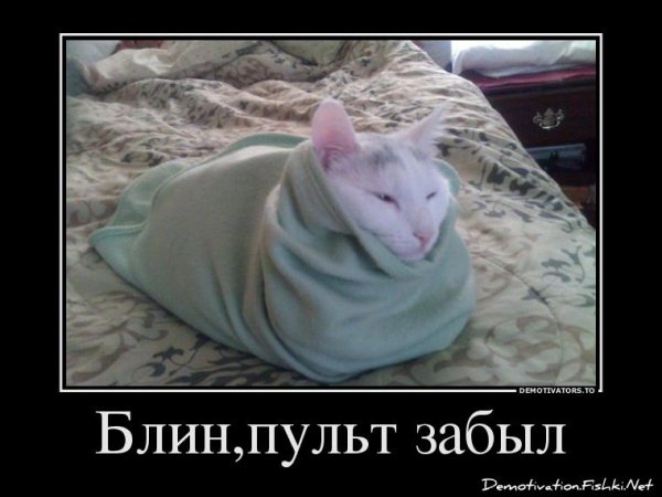 Смешные демотиваторы до слез новые