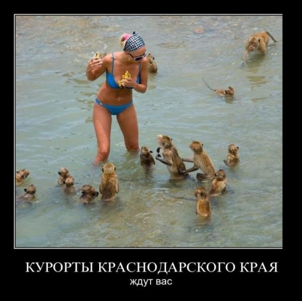 Курорты Краснодарского края ждут вас