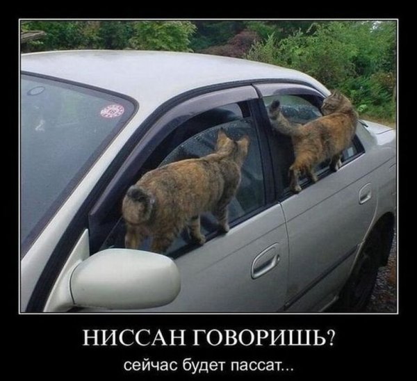 Автомобильные демотиваторы смешные
